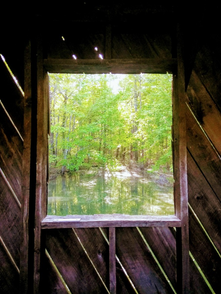 window