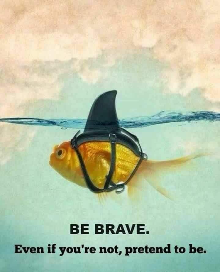 brave