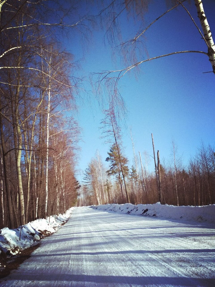 Winter Nature
