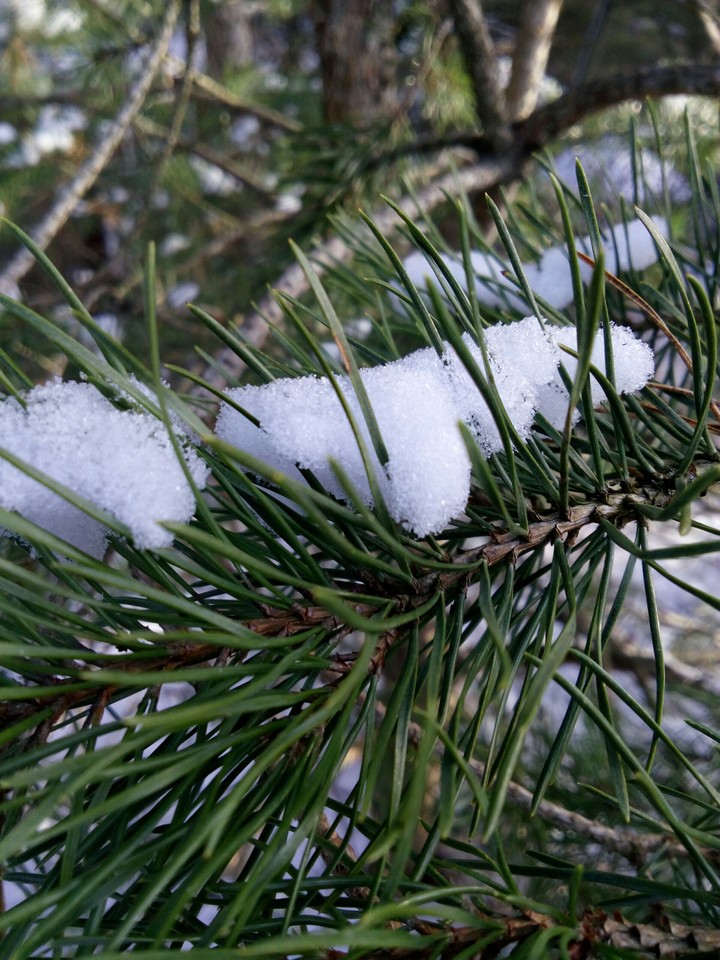 Nature
