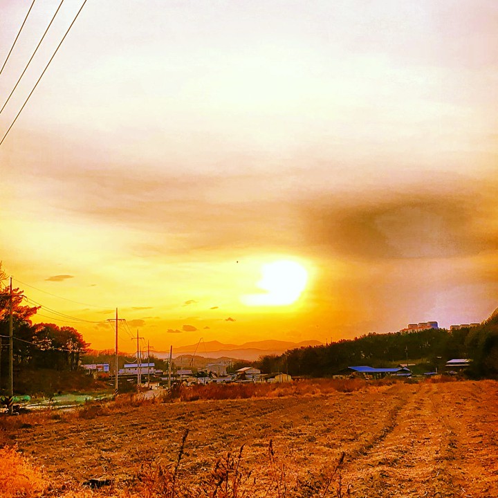sunset
