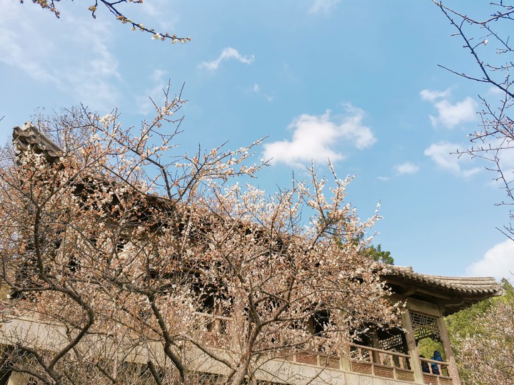 the spring