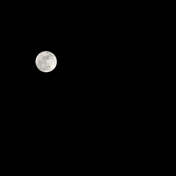 god