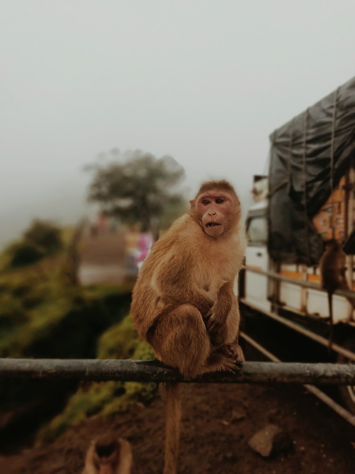 Wildlife.!#is LIFE