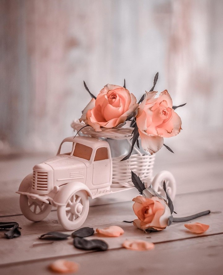 so cute...