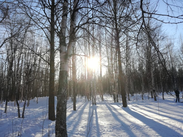 зима. ☀️. февраль