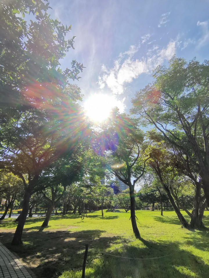 the sunlight