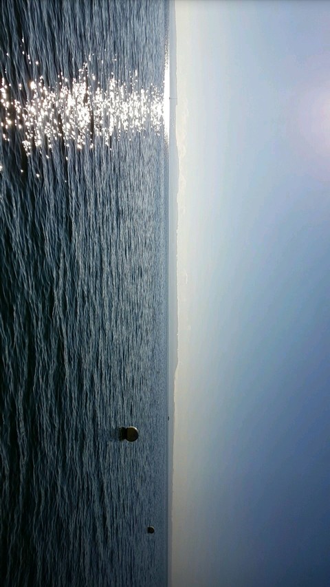 Sea on view of the Alps