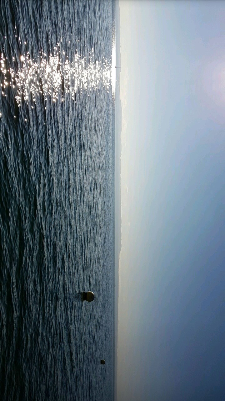 Sea on view of the Alps