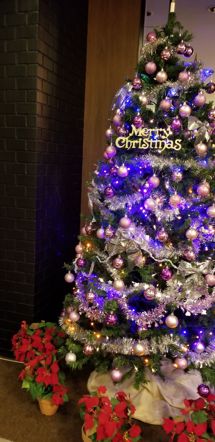 クリスマスツリー
