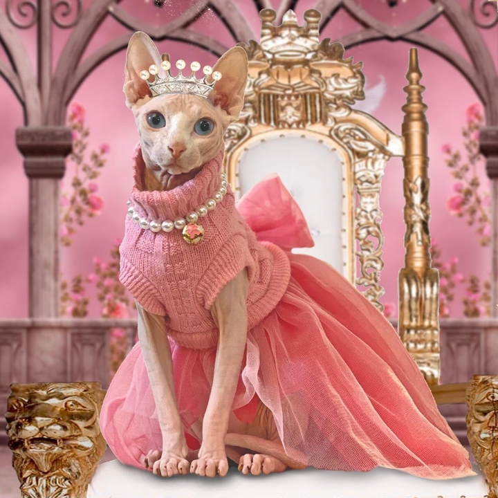 queen