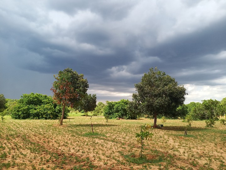My Farm @ moderate climate