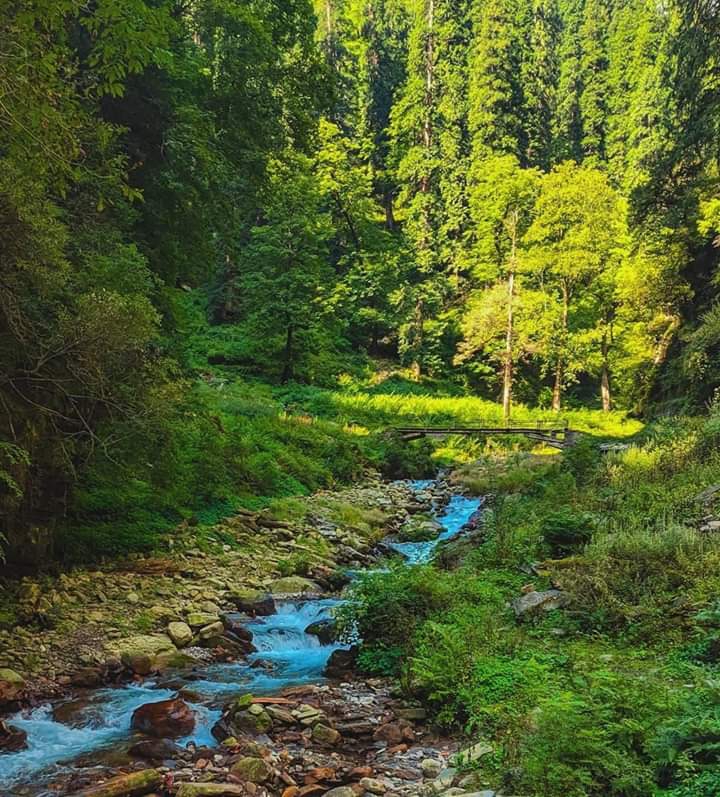 Green n blue