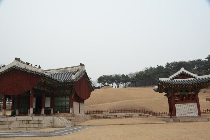 홍릉이미지