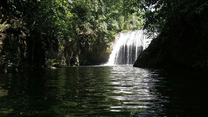 Mandi Damar