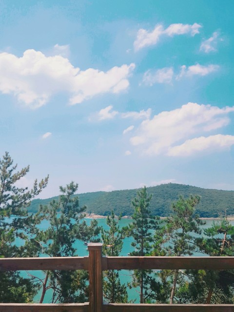 완도 앞바다