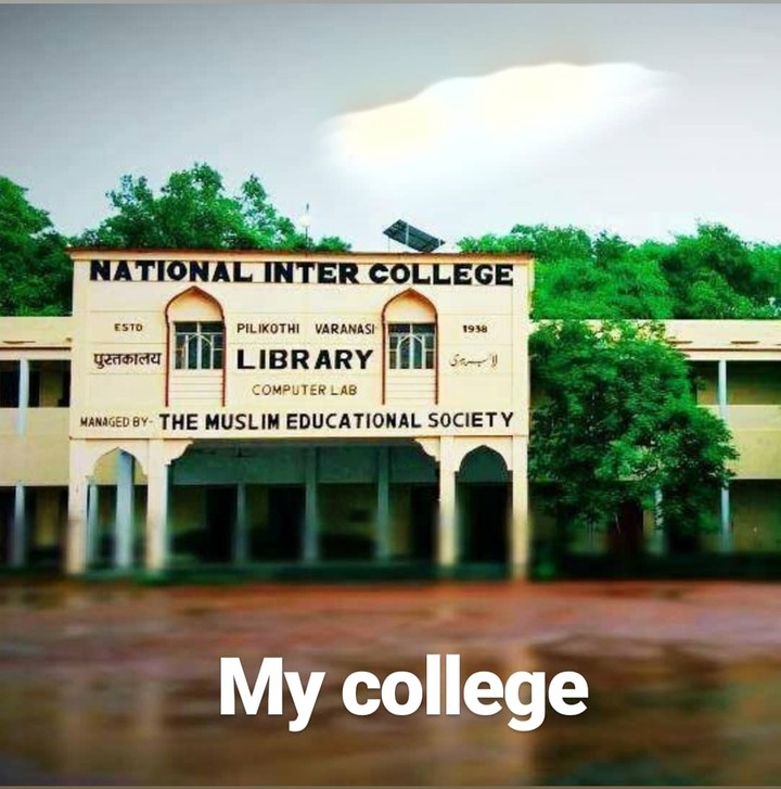 my college