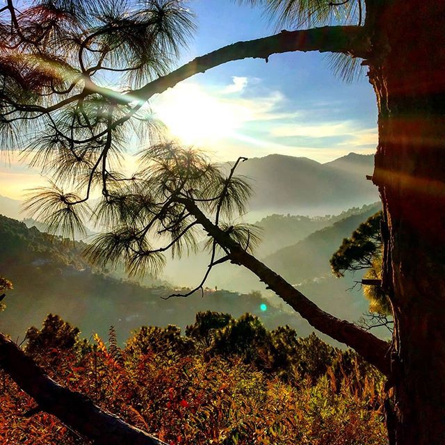 Nature...