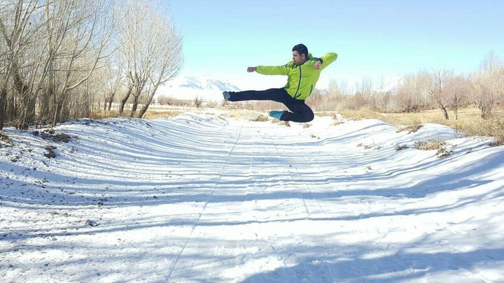 wushu