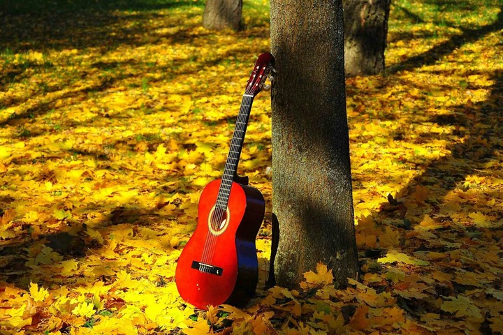 Red guitar with Natural beauty