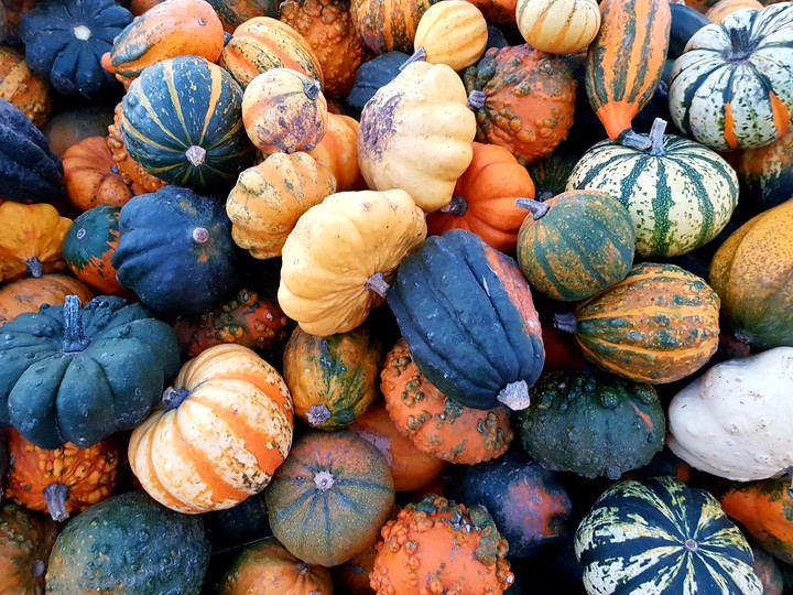 Pumpkin