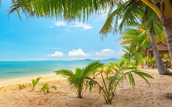 sea