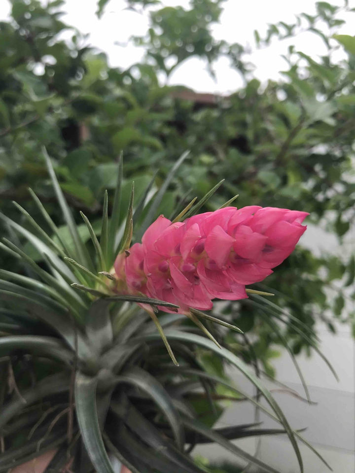 Beautiful ?