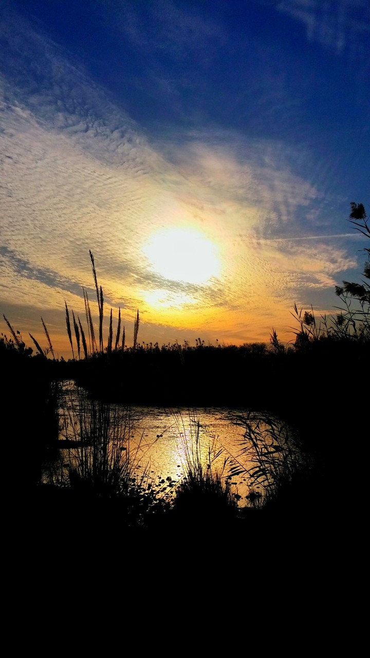 sunset