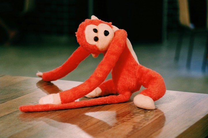 Monkey being funky