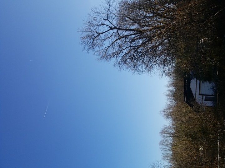 no clouds in the blue sky
