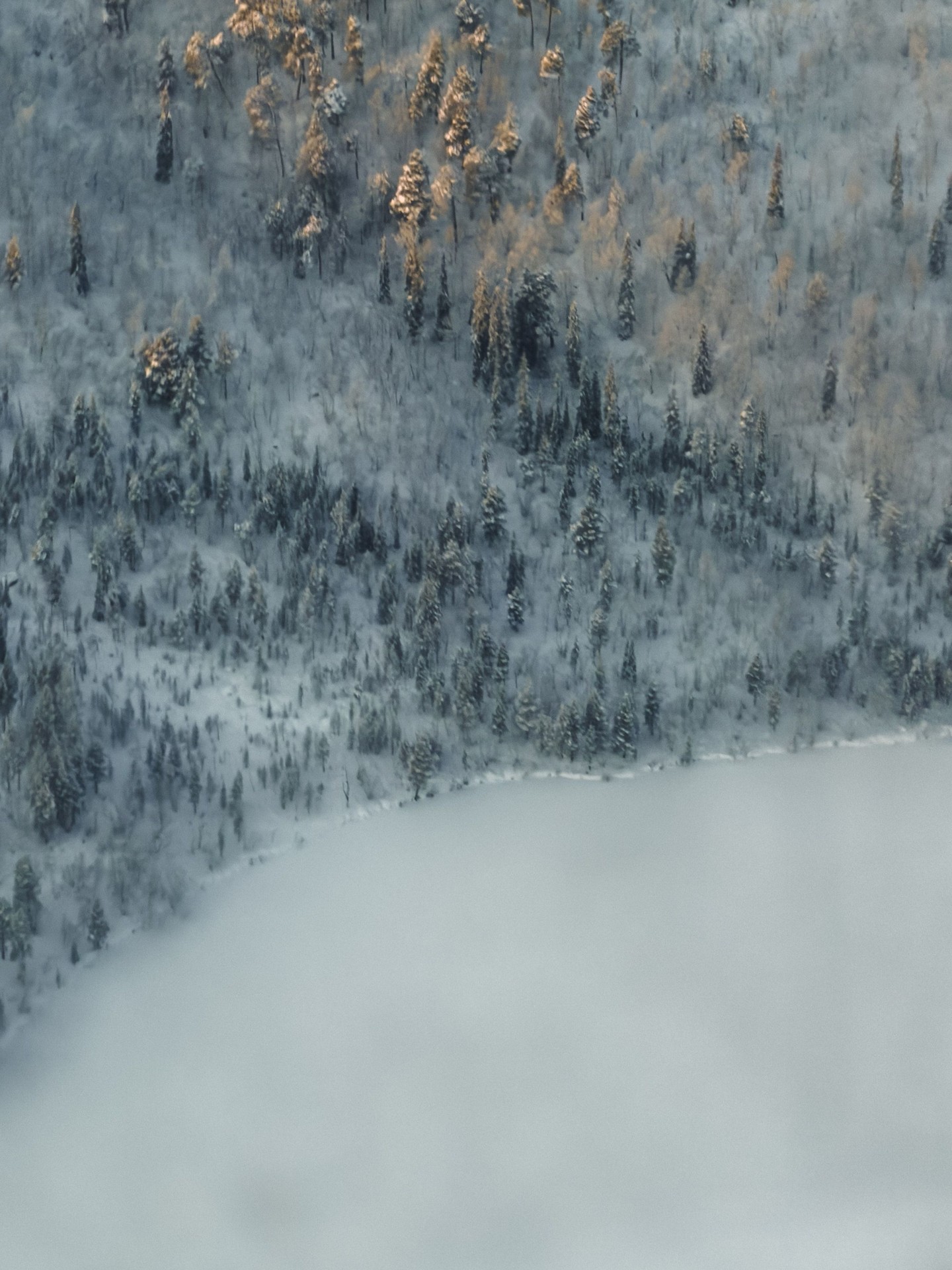 tapety snow, frost