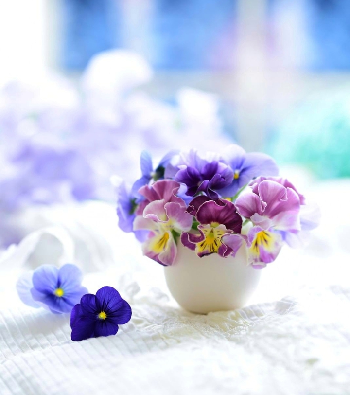 bouquet