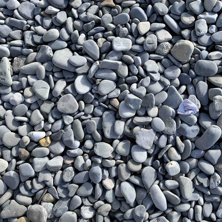 Pebble Beach in Nice