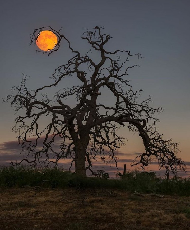moon