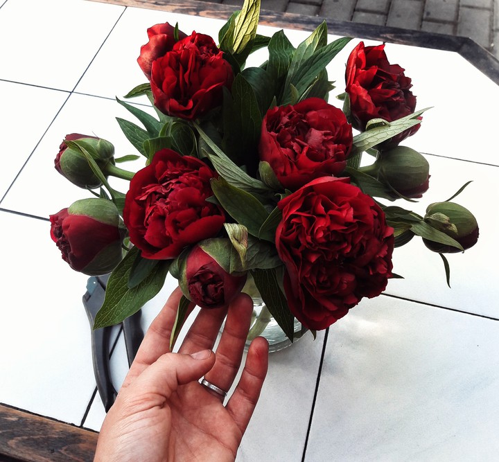 pions
