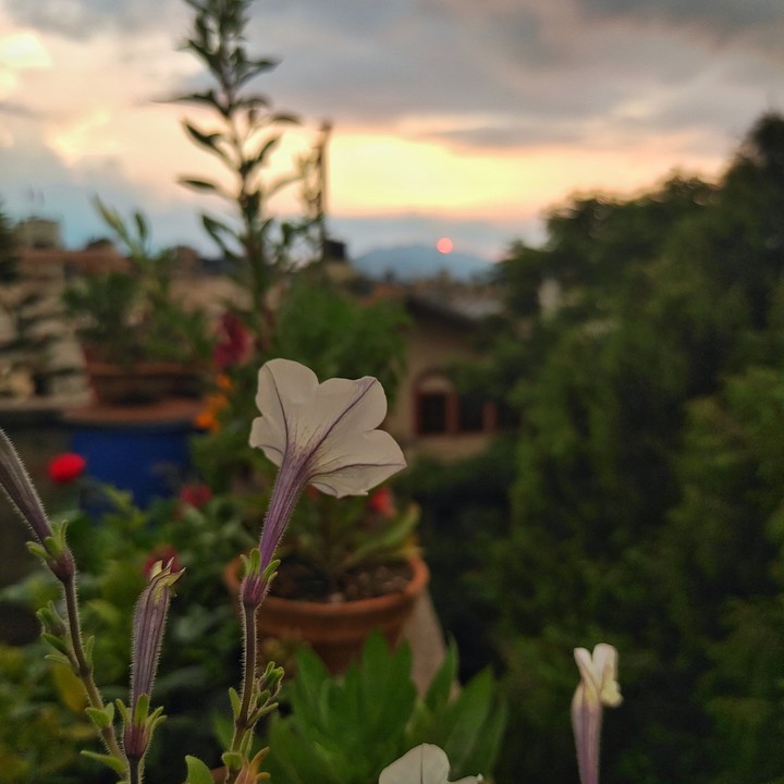 Sunset - Golden Hour
