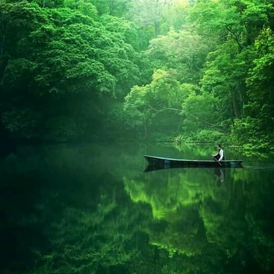 the beauty of Indonesia's nature