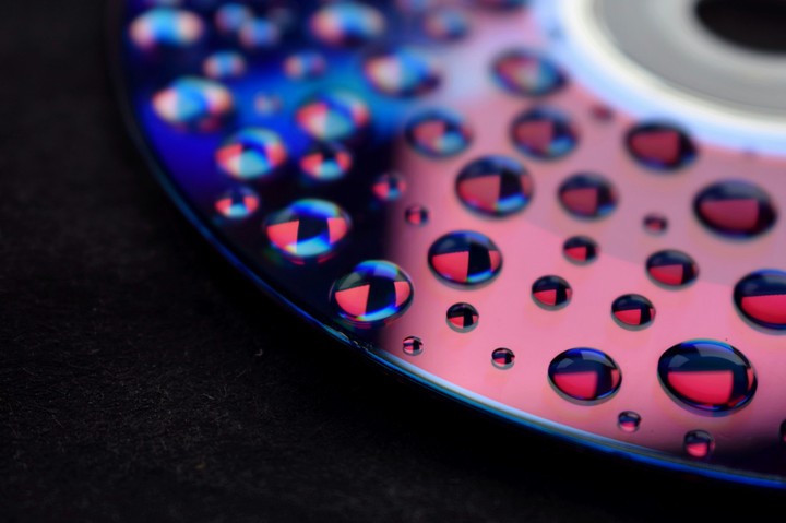 macro photo