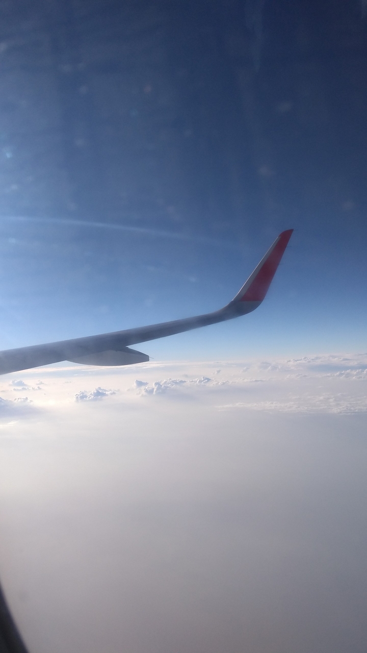 trip