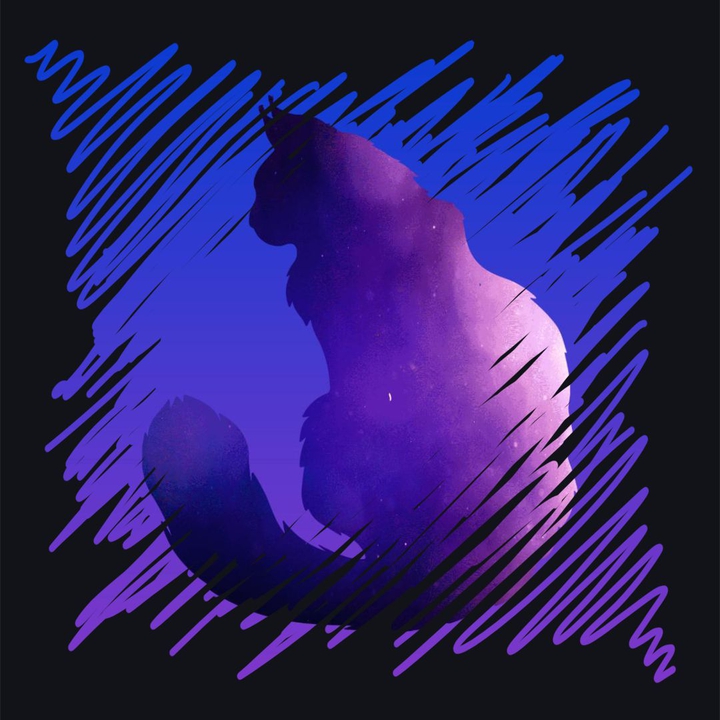 кот сквозь ночи