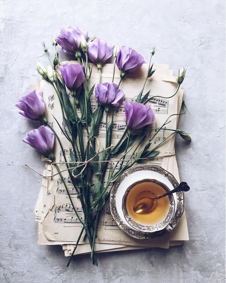 purple flowers