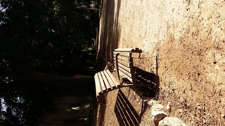 Bench