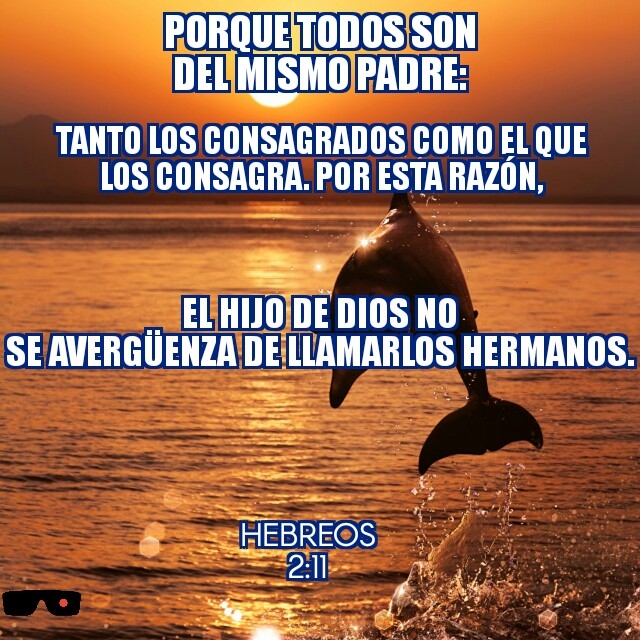Creación