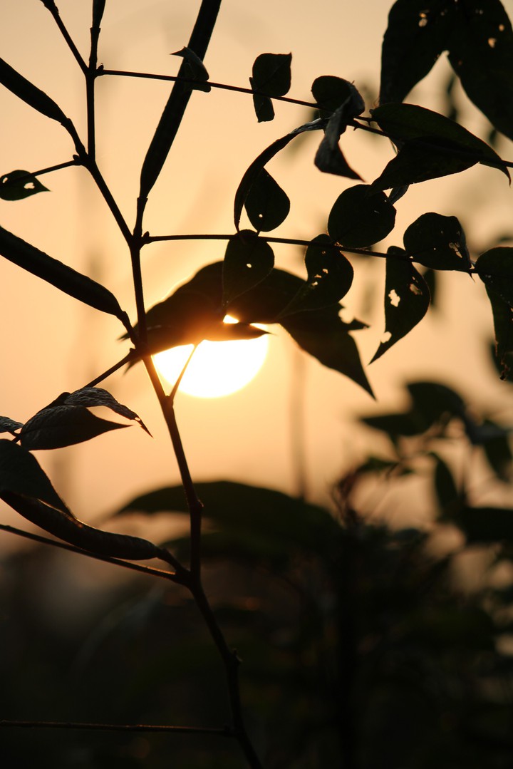 deomali sunrise