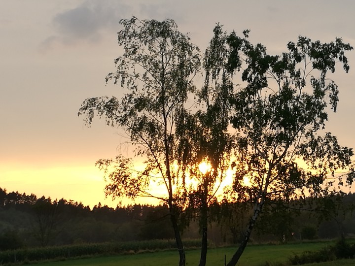sun