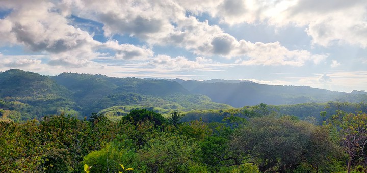 Rainforrest in Indonesia Desktop Wallapaper 4K HD