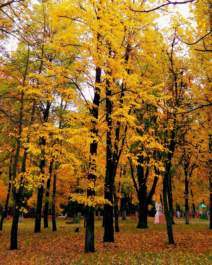 autumn