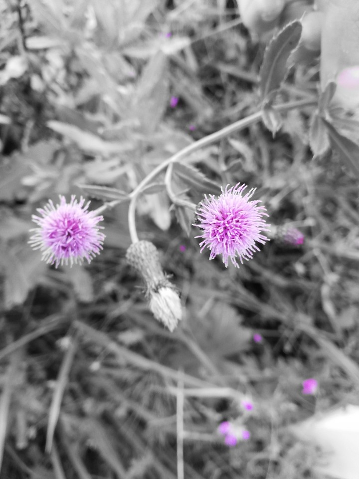 Nature s got eyes