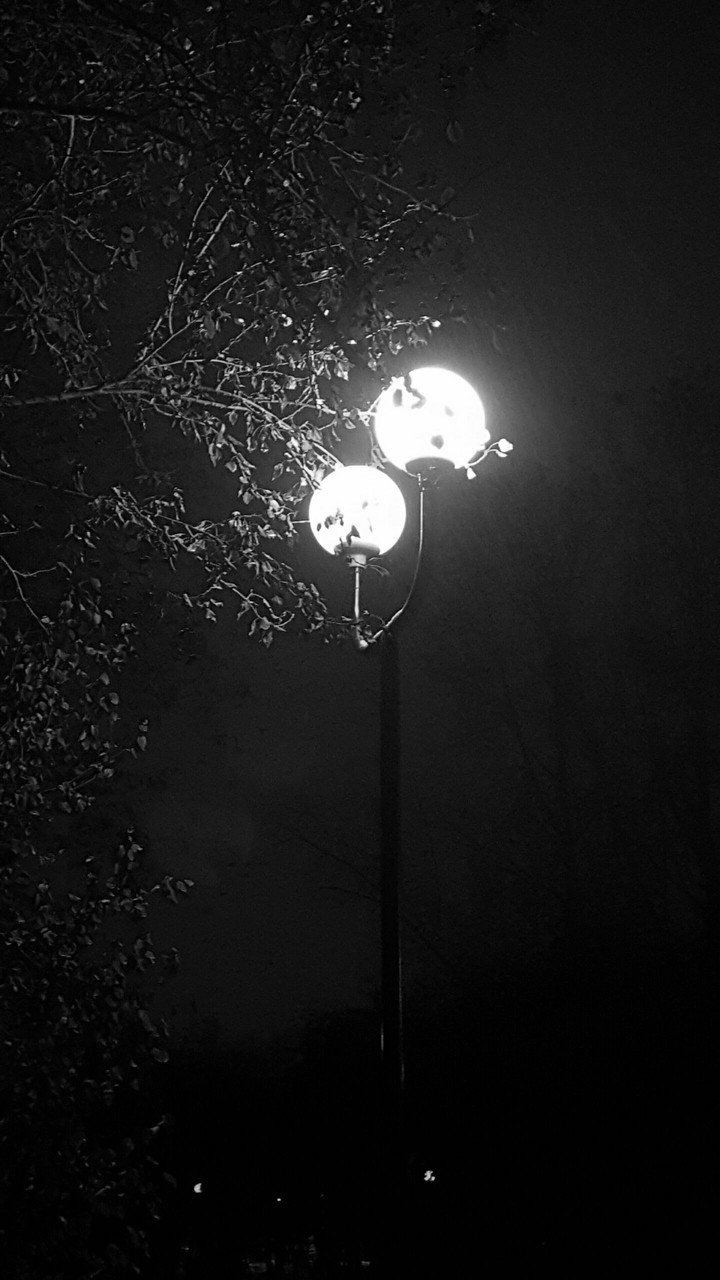 night