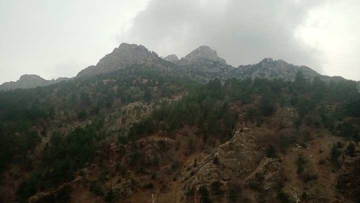 dağ